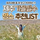 제주 명소 떠나 보세요 이미지