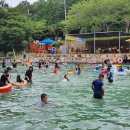 보은산V랜드 이미지