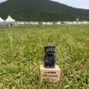 하례김밥 | [제주] 6월 제주 자유여행 2박3일 알찬 여행 코스와 후기 _ DAY2