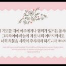 오늘의 '영어성경 사진'(840강) “용서의 결과”(마가복음 11장 25절) 이미지