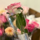 3/8 ＜THE WASP＞ 첫공 - 베리려뷰 나눔 안내 🥐🌹✨ 이미지