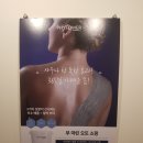 제인 에스테틱