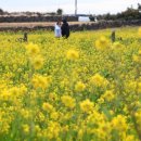 고성리-11 이미지