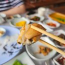 태안자연산횟집 | 태안횟집 추천 가보자횟집 자연산 회정식후기 골든베이맛집