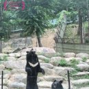 국립공원야생생물보전원 중부보전센터 이미지