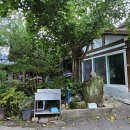 국골민박 이미지