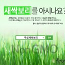 농업회사법인주식회사 주성 이미지
