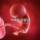 너는있는게뭐야? 이름도없고 돈도없고