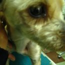 능곡초등학교 이미지