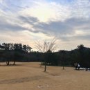 포항 캠핑장 -칠포오토캠핑장 리얼후기