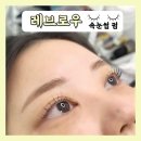 경기도 수원시 권선구 세지로112번길 25-1 (권선동) | 수원 속눈썹 잘하는곳 권선동 노글루펌 레브로우