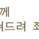 배철의원 네이버블로그