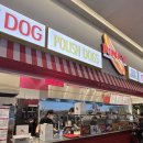 도그앤푸드 | 판교 현백 핑크스 핫도그 지하 푸드코트 맛집 추천