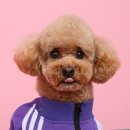 293사진관 이미지