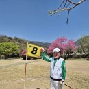 서부파크장 이미지