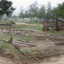 자라섬캠핑장 이미지