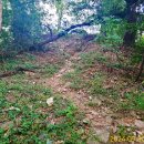 월평동산성 이미지