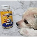 코코멍냥 | 강아지 다이어트 체중 조절간식 레디펫고 멍냥펀치 면역업 슬림코코넛 저알러지 급여 후기