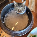 원조 풍원장 시골밥상 이미지