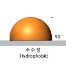 동탄원더스동물의료센터 이미지