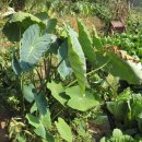 놀부농장 이미지