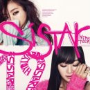 씨스타19 카카오 검색결과