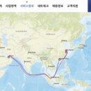 시노코자