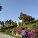 옥빛중학교 | 양주 옥정동 레터링 케이크 어피스어데이 생일케이크 주문 후기