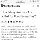호주 산불로 동물 5억마리가 죽었다고..?! 사실 매년 720억의 동물이 죽고 있다는 사실 이미지