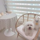 꿀비공방 이미지