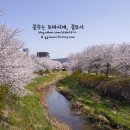 당진시 대덕1로2길 | 당진 벚꽃명소) 어름수변공원 당진천 벚꽃길, 대덕3교