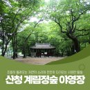 계림정야영장 이미지