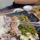 해적선생오리 이미지