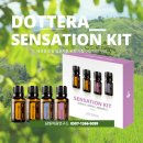 (유)심신통합면역연구소 | 도테라 센세이션 키트(Sensation Kit) – 에센셜 오일 입문자를 위한 가장 이상적인 구성