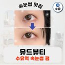 뮤드뷰티 | [수유역]_100% 내돈내산 N번째 방문중인 속눈썹 펌 뮤트뷰티/ 클리닉펌 블랙틴트