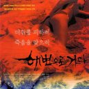 [가족영화]방울 토마토 (2008) 5월29일개봉작/신구, 김향기, /해변으로 가다 (Bloody Beach,[가족영화외화]천사의 아이들 In America, 이미지