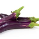 마산식품 티스토리