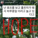 이주영 카카오 검색결과