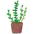 컴포즈커피서대전네거리점 이미지