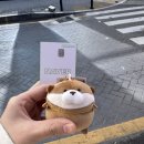 핑키펑키 서면롯데점 | 뚠뚠 우소우소짱 너무너무 귀엽다!