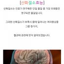 오엔오 네이버블로그