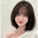 애니미용실 - 춘천시 | 애니미용실