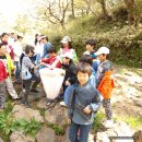 신광초등학교 이미지