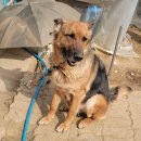 산양중학교 이미지