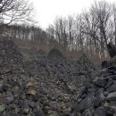 구례향기 이미지