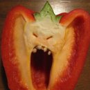 청담아이윌동물병원 이미지