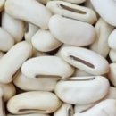 하늘누에 이미지