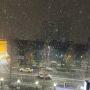 메디필성형외과의원 | 12/12-17 나 쌍수할ㄹ래