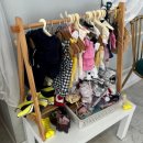 도도하개 이미지