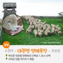 장터목장 이미지